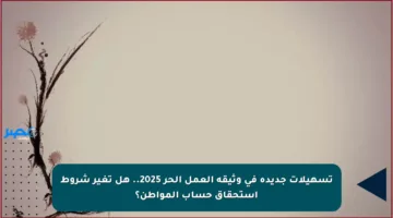 تسهيلات جديدة في وثيقة العمل الحر 2025.. هل تغير شروط استحقاق حساب المواطن؟